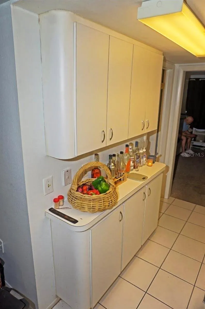 20857 HAULOVER COVE #B14 Lutz, FL 33558