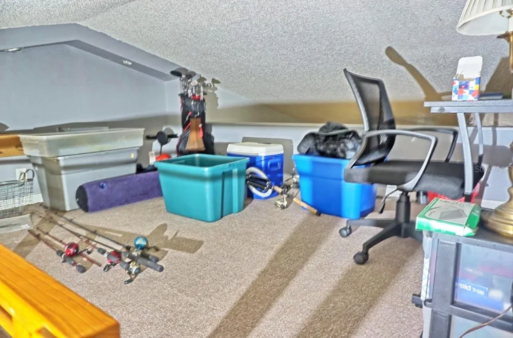 20857 HAULOVER COVE #B14 Lutz, FL 33558