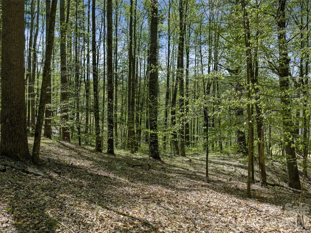 0 Satinwood Drive Burnsville, NC 28714