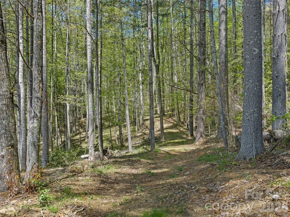 0 Satinwood Drive Burnsville, NC 28714