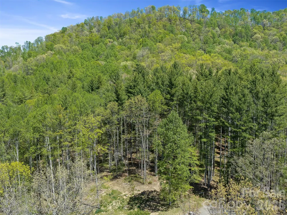 0 Satinwood Drive Burnsville, NC 28714