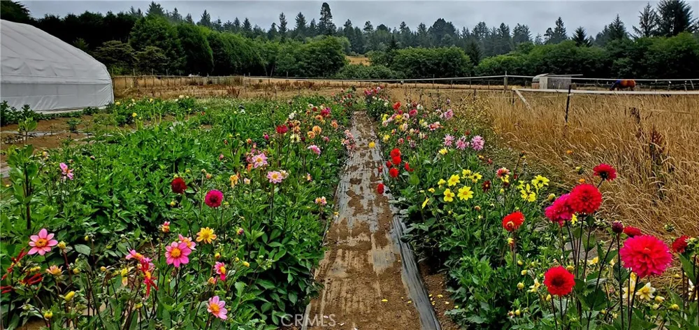 4415 Woods Lane Mckinleyville, CA 95519