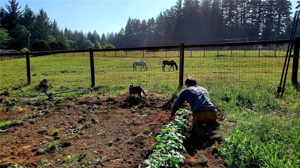 4415 Woods Lane Mckinleyville, CA 95519
