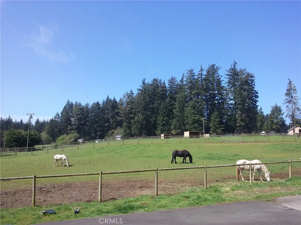 4415 Woods Lane Mckinleyville, CA 95519