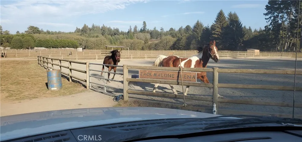 4415 Woods Lane Mckinleyville, CA 95519