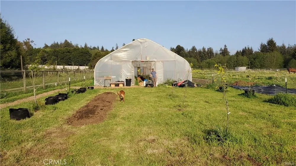 4415 Woods Lane Mckinleyville, CA 95519