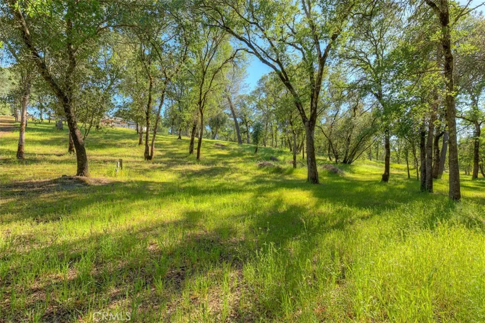 105 Silver Bar Drive Oroville, CA 95966