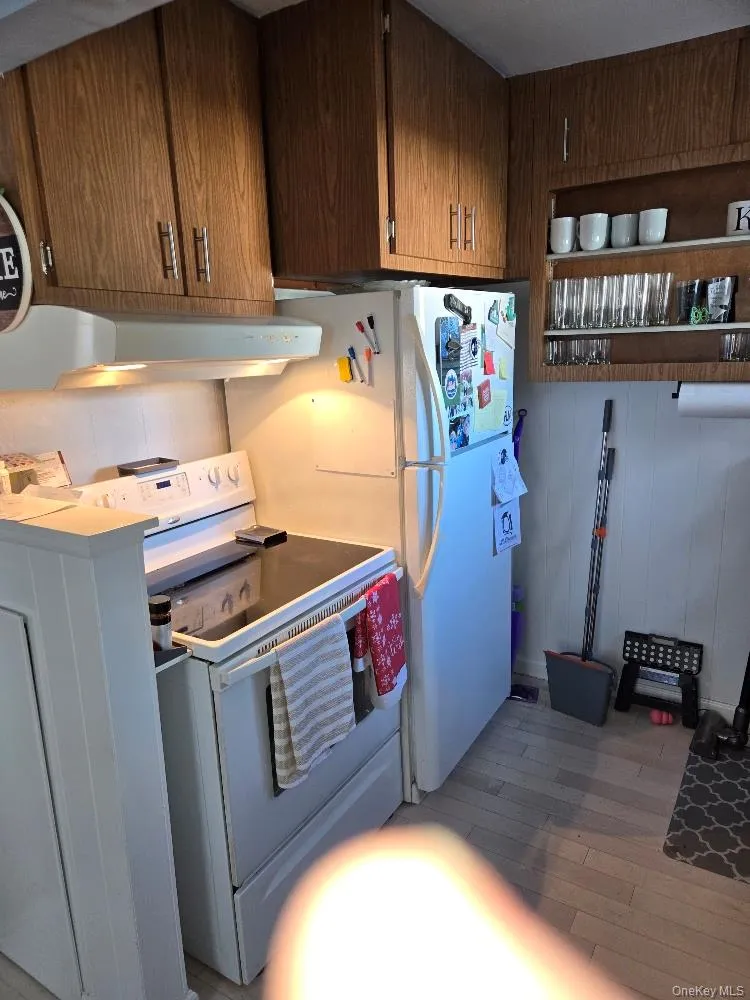 12 Carson Street Bethpage, NY 11714