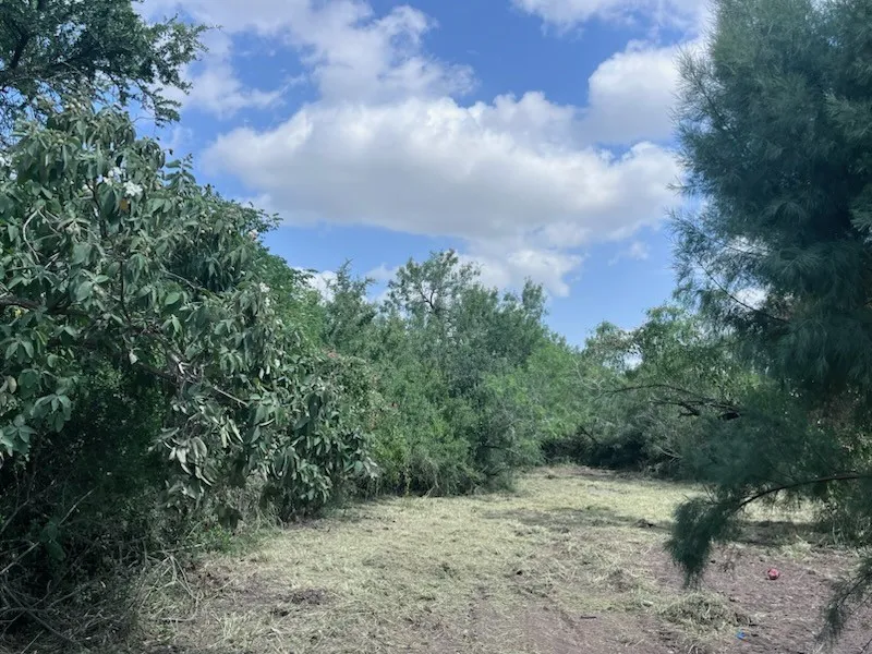 113 Sidbury Avenue Alice, TX 78332