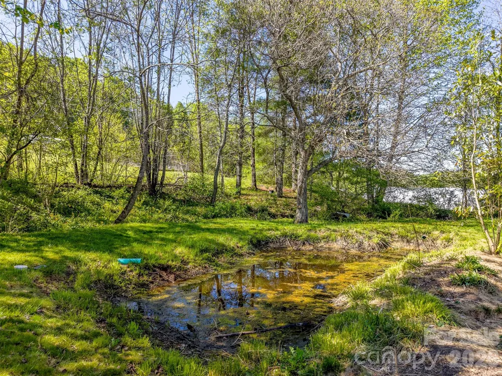 160 Canter Lane Sylva, NC 28779