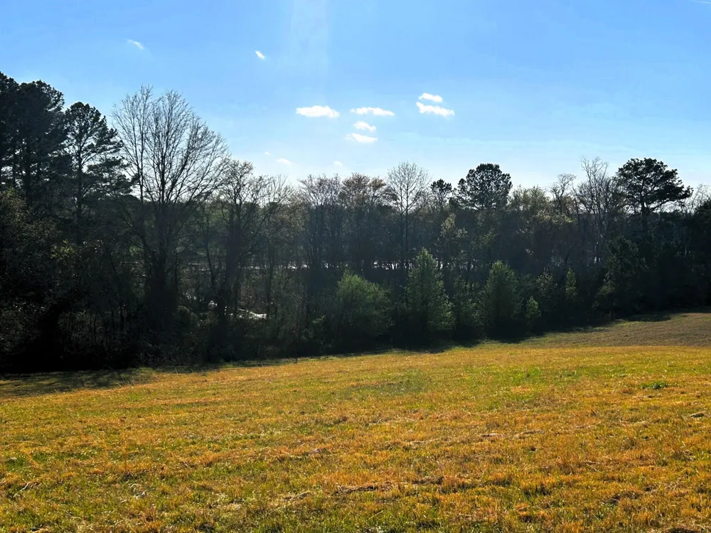 3 Lamontville Road Decatur, TN 37322