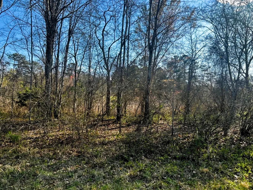 3 Lamontville Road Decatur, TN 37322