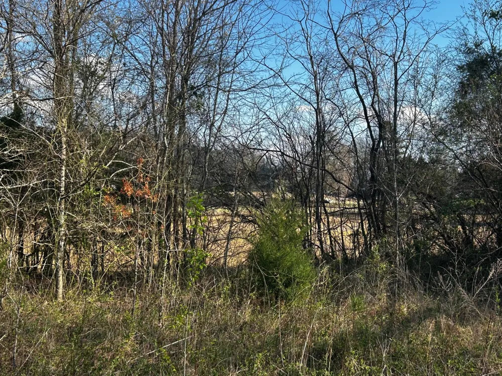 3 Lamontville Road Decatur, TN 37322