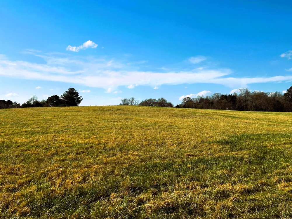 3 Lamontville Road Decatur, TN 37322