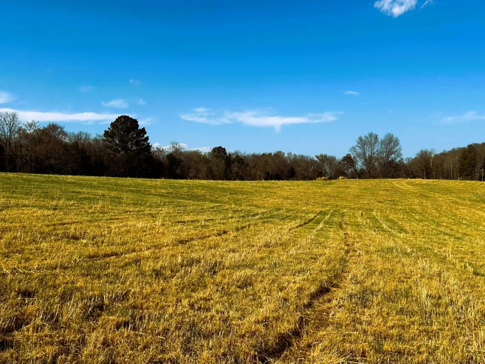 3 Lamontville Road Decatur, TN 37322
