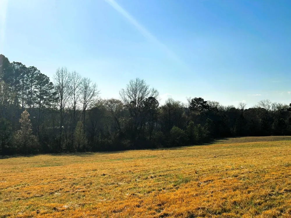3 Lamontville Road Decatur, TN 37322