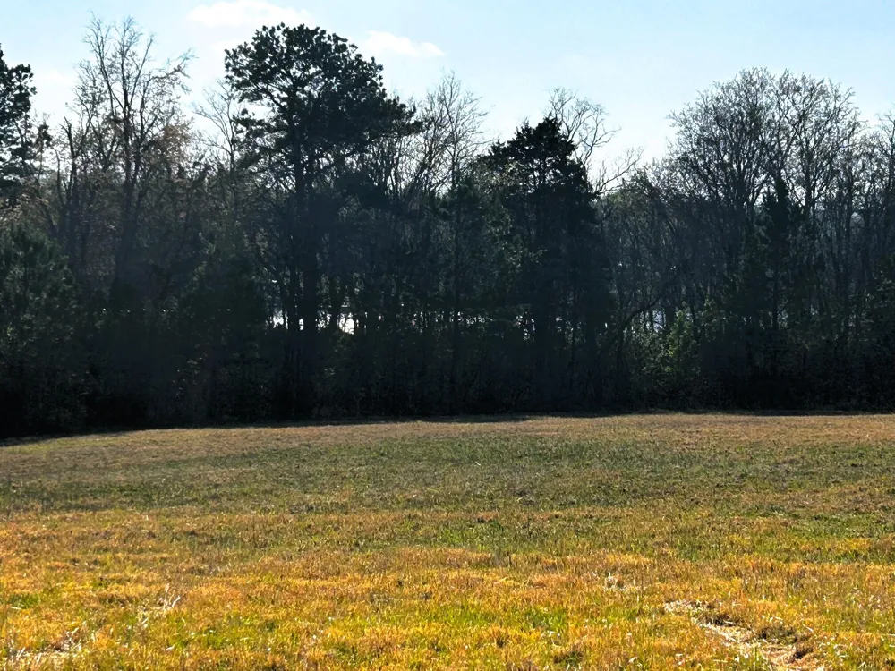3 Lamontville Road Decatur, TN 37322