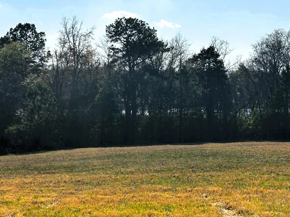 3 Lamontville Road Decatur, TN 37322