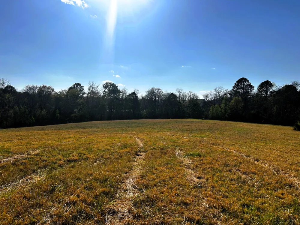 3 Lamontville Road Decatur, TN 37322