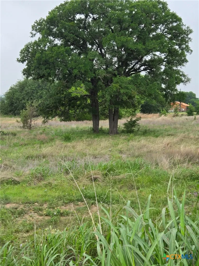 Yosemite Dr. Lot# 202 Drive Oglesby, TX 76561