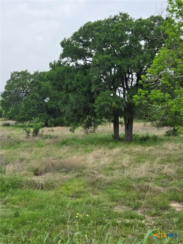 Yosemite Dr. Lot# 202 Drive Oglesby, TX 76561