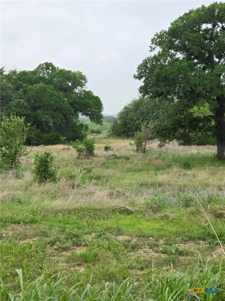 Yosemite Dr. Lot# 202 Drive Oglesby, TX 76561