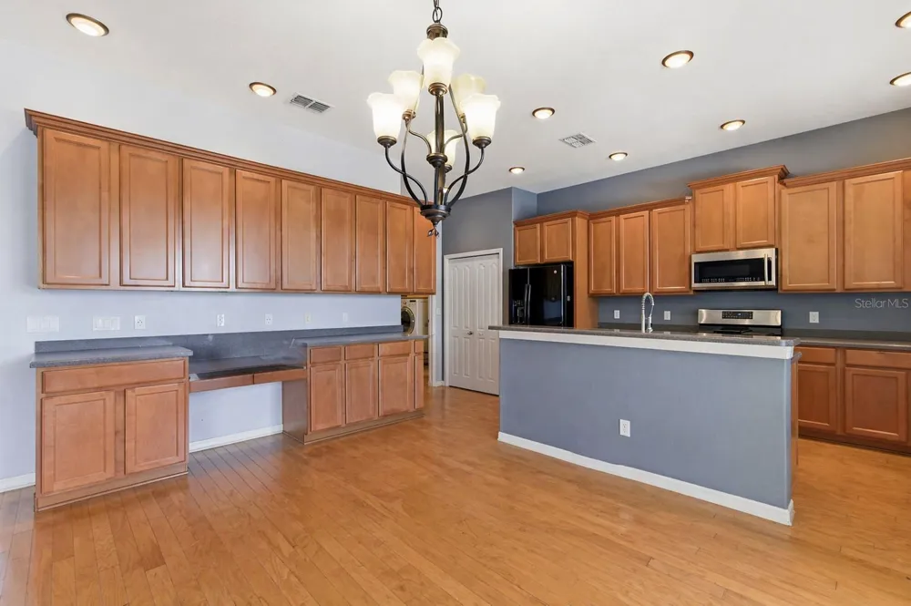 20629 WILD PLUM COURT Land O Lakes, FL 34637