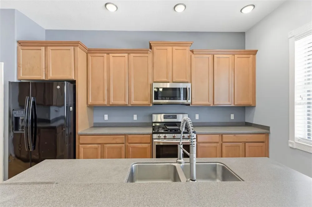20629 WILD PLUM COURT Land O Lakes, FL 34637