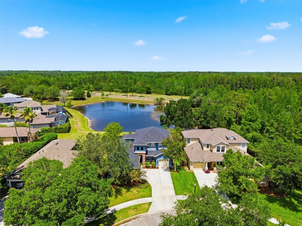 20629 WILD PLUM COURT Land O Lakes, FL 34637
