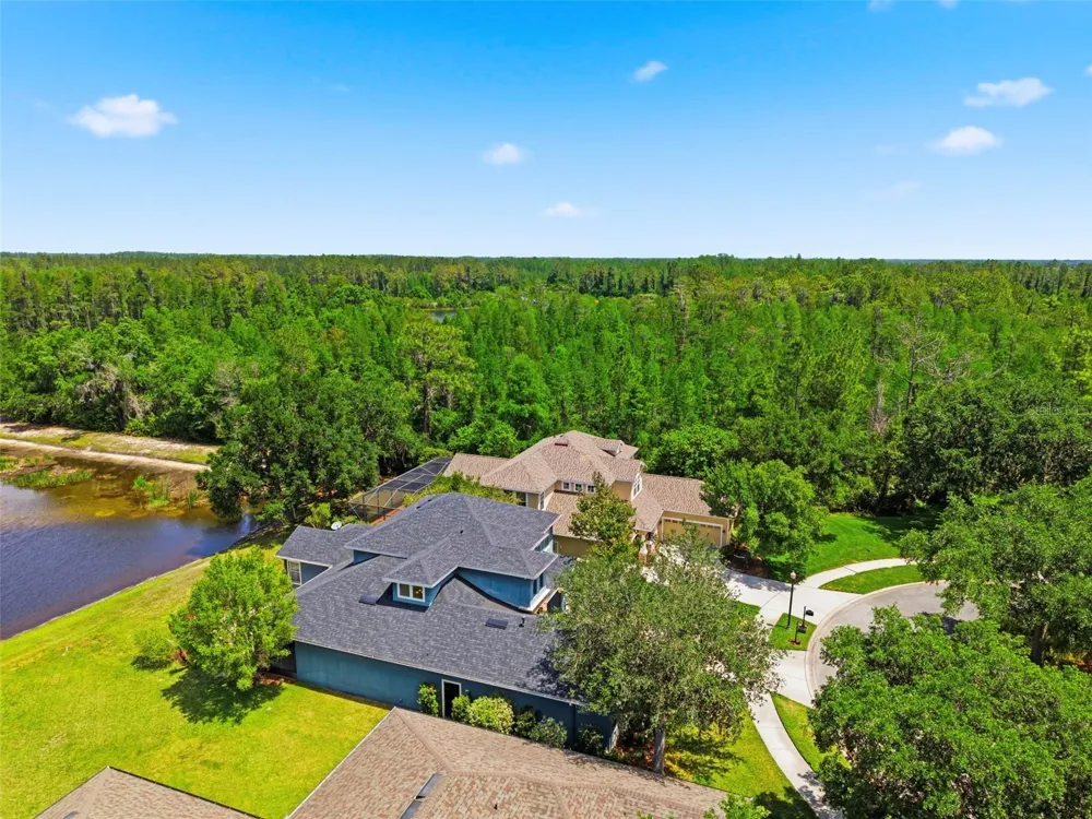 20629 WILD PLUM COURT Land O Lakes, FL 34637