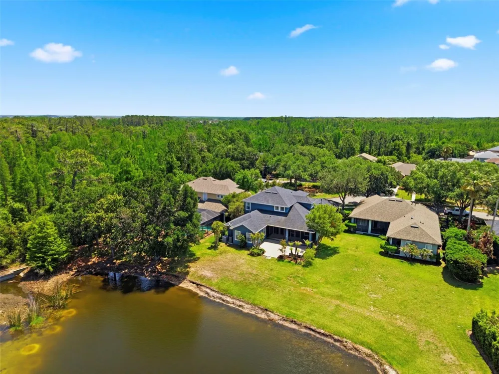 20629 WILD PLUM COURT Land O Lakes, FL 34637