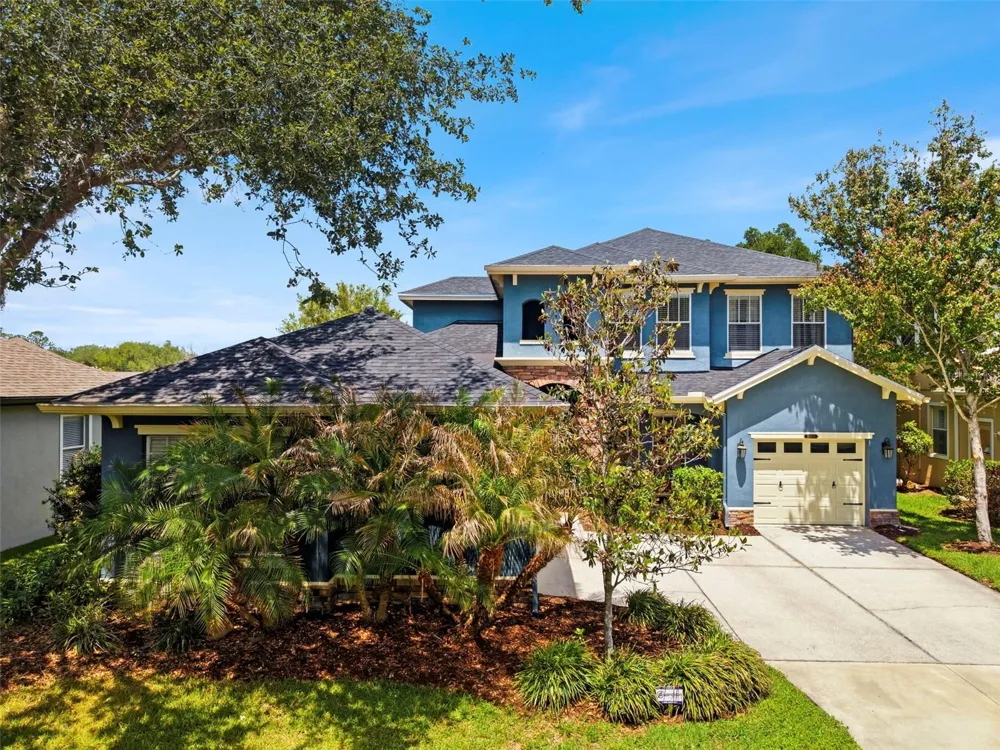 20629 WILD PLUM COURT Land O Lakes, FL 34637