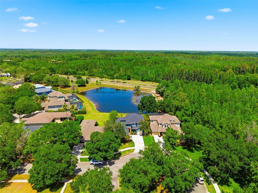 20629 WILD PLUM COURT Land O Lakes, FL 34637