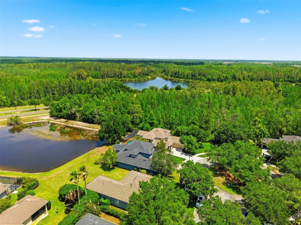 20629 WILD PLUM COURT Land O Lakes, FL 34637