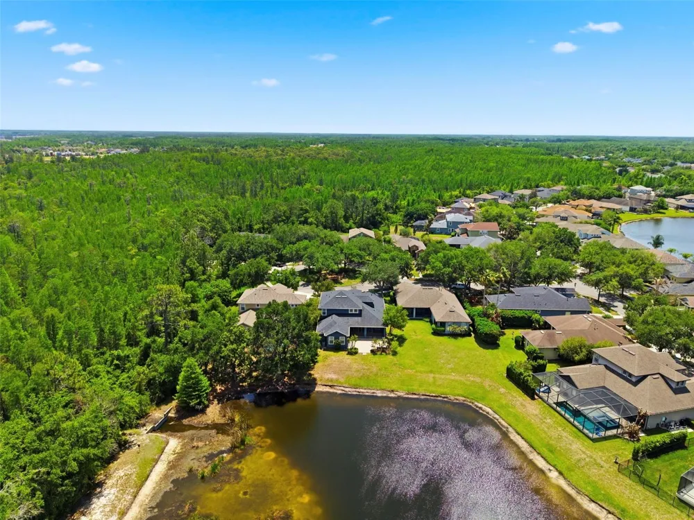 20629 WILD PLUM COURT Land O Lakes, FL 34637