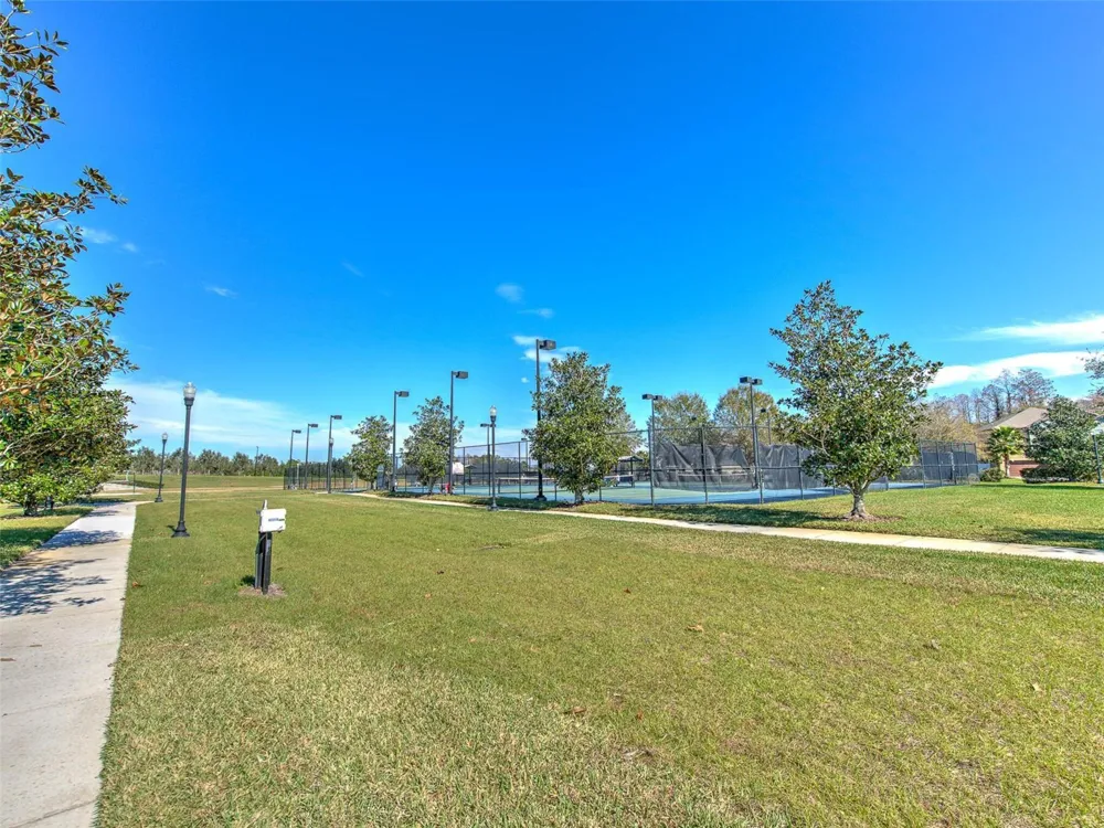 20629 WILD PLUM COURT Land O Lakes, FL 34637