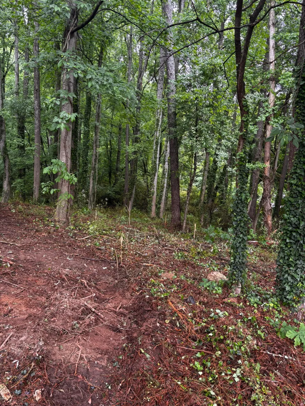 35 Ryman Ridge Road Dalton, GA 30720