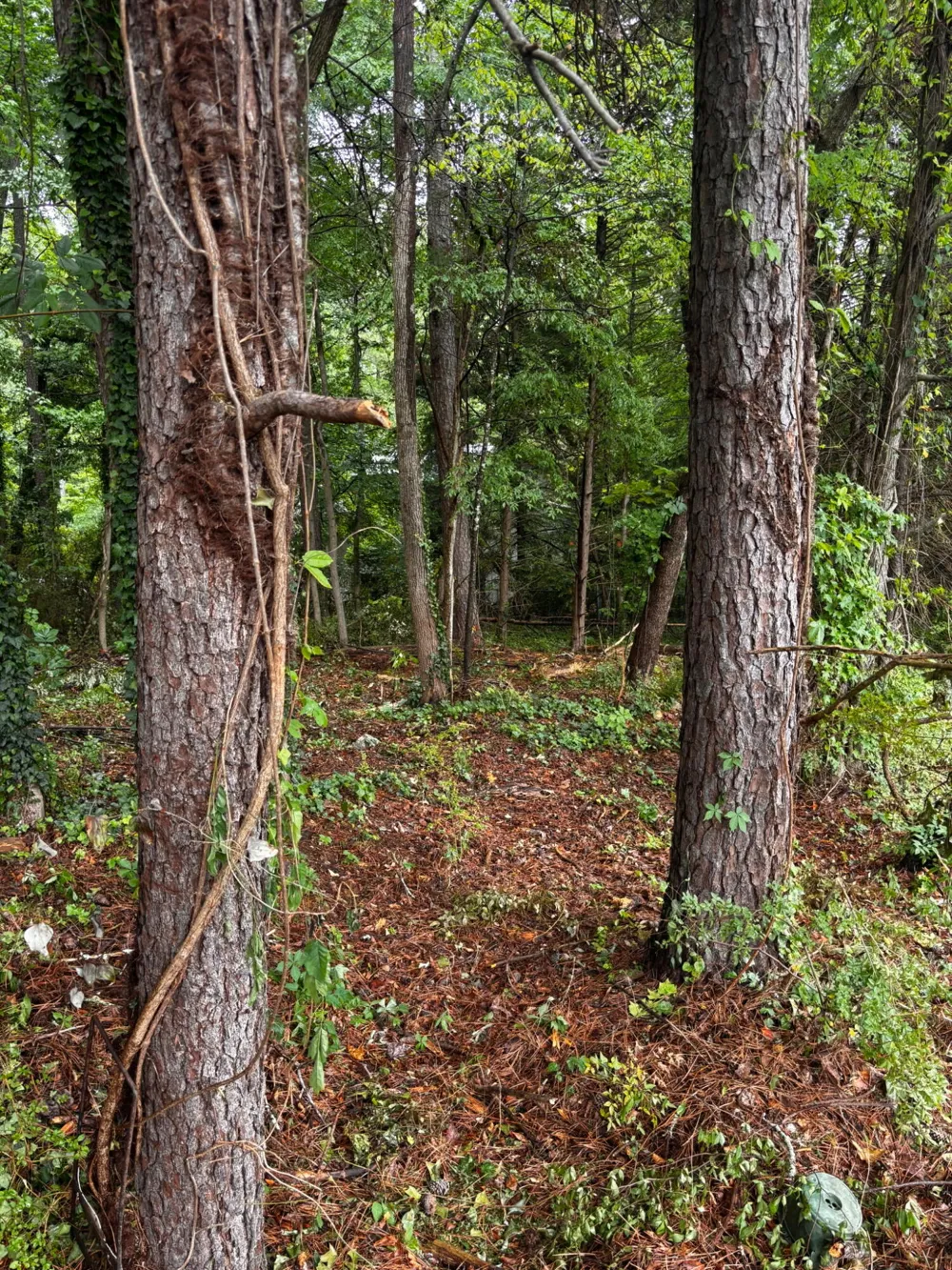 35 Ryman Ridge Road Dalton, GA 30720