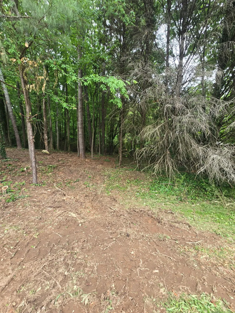 35 Ryman Ridge Road Dalton, GA 30720