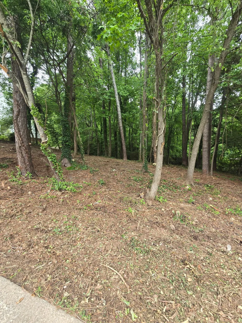 35 Ryman Ridge Road Dalton, GA 30720