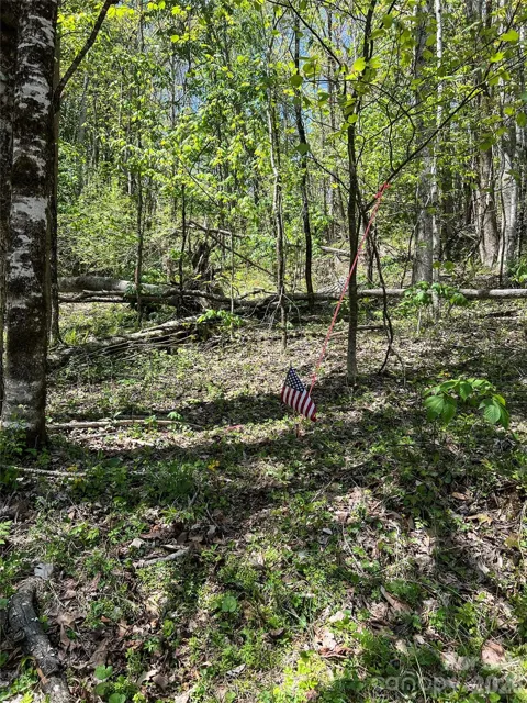 Lot# 34 Buckeye Creek Road #34