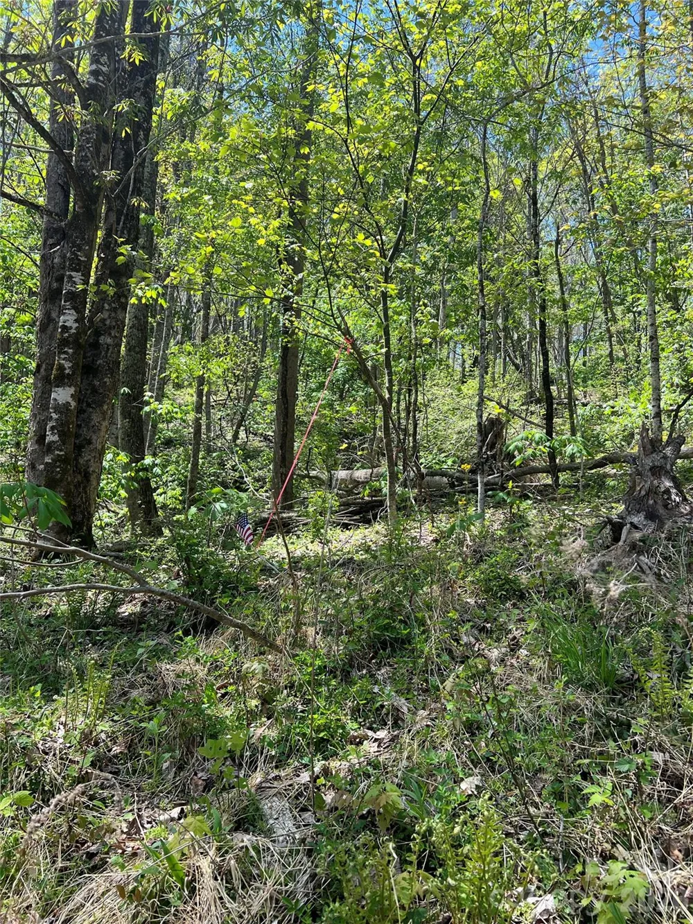 Lot# 34 Buckeye Creek Road #34 Beech Mountain, NC 28622