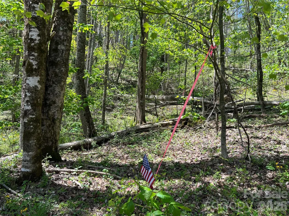 Lot# 34 Buckeye Creek Road #34 Beech Mountain, NC 28622