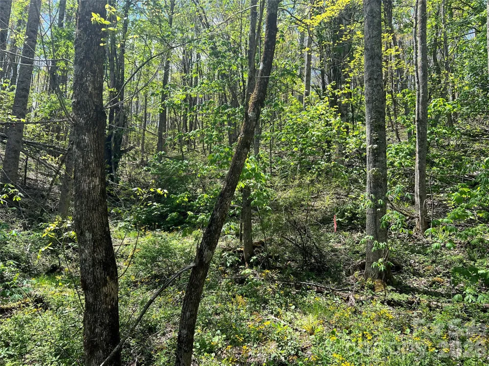Lot# 34 Buckeye Creek Road #34 Beech Mountain, NC 28622