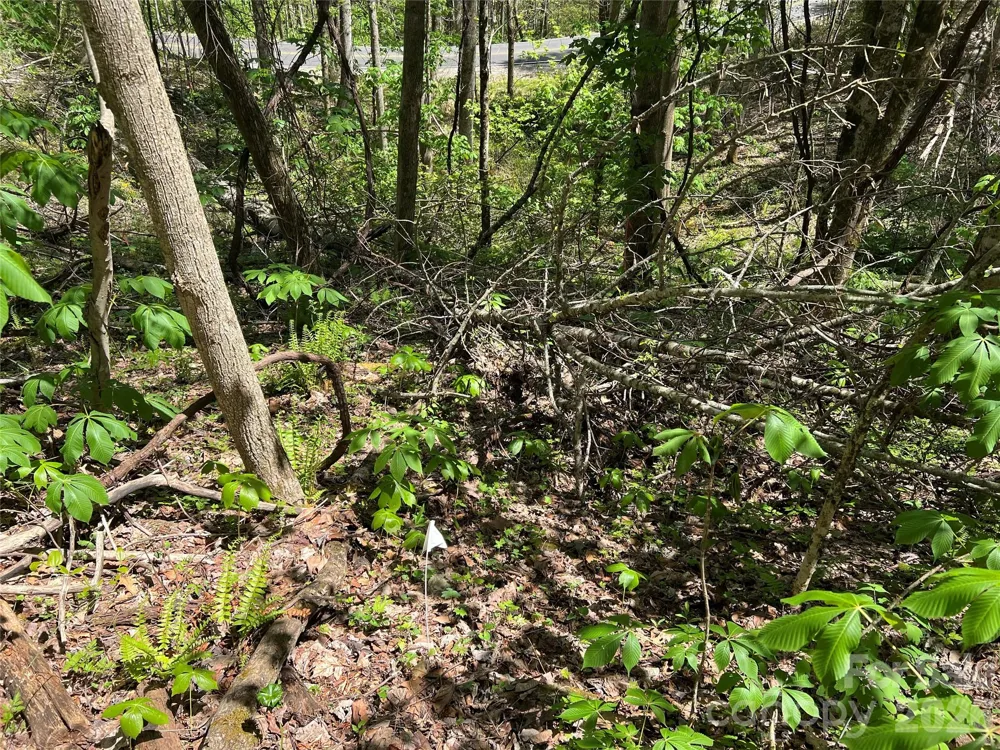 Lot# 34 Buckeye Creek Road #34 Beech Mountain, NC 28622