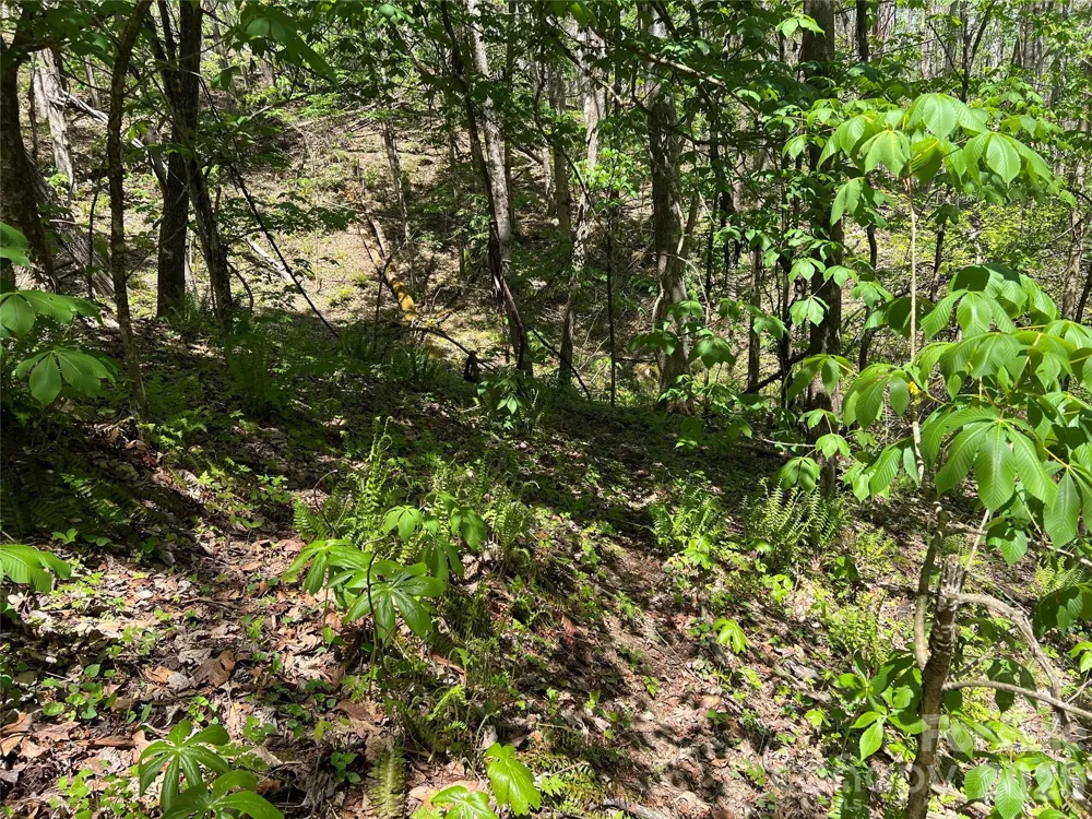 Lot# 34 Buckeye Creek Road #34 Beech Mountain, NC 28622