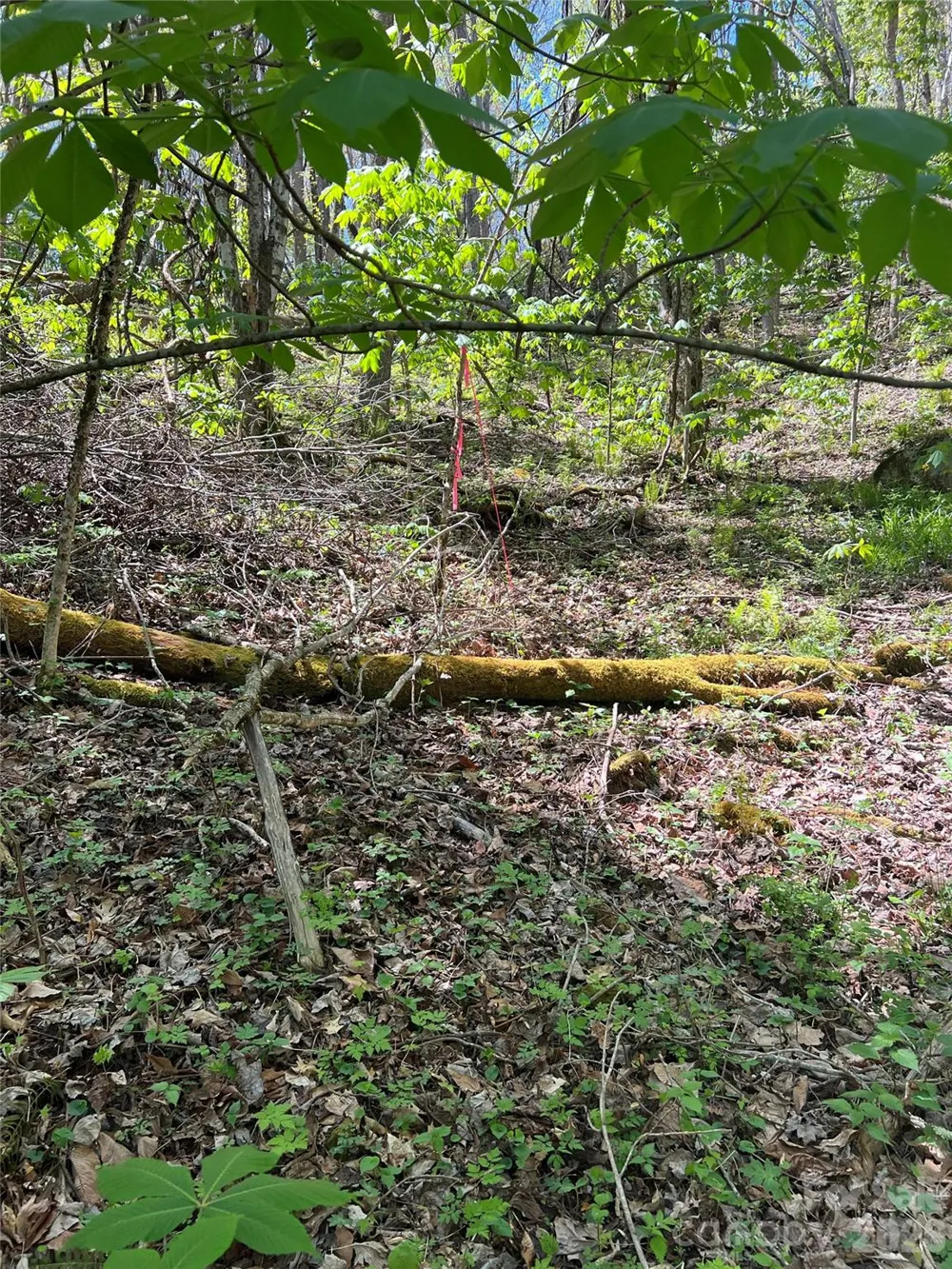 Lot# 34 Buckeye Creek Road #34 Beech Mountain, NC 28622