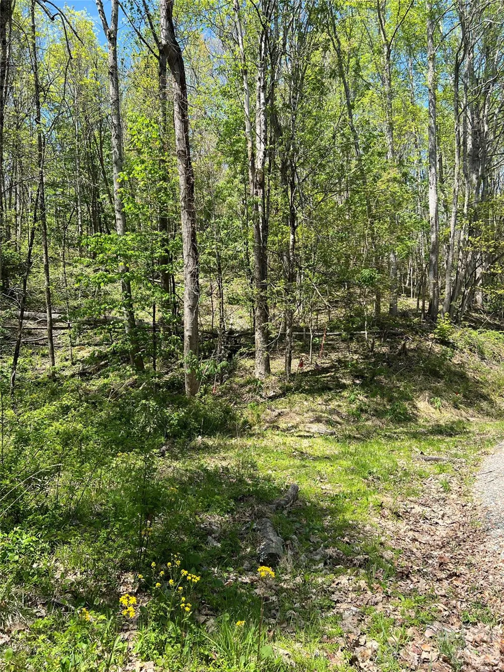 Lot# 34 Buckeye Creek Road #34 Beech Mountain, NC 28622