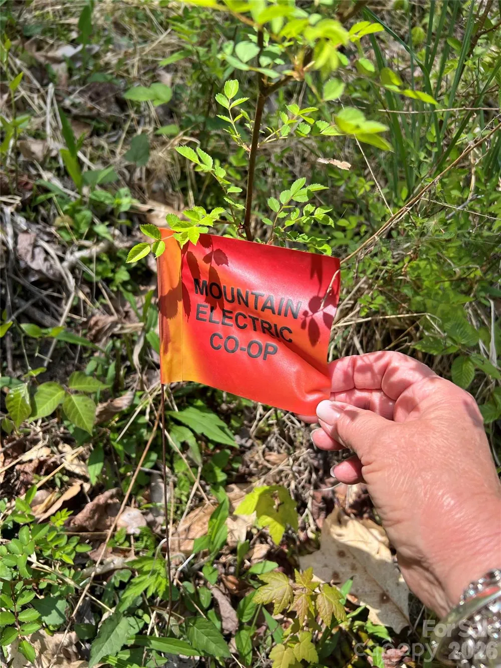 Lot# 34 Buckeye Creek Road #34 Beech Mountain, NC 28622
