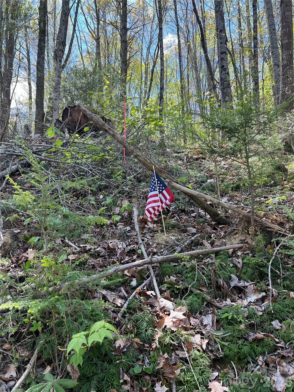 Lot# 34 Buckeye Creek Road #34 Beech Mountain, NC 28622